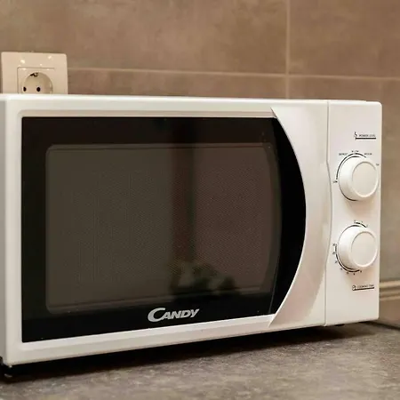 Luxury In Downtown Apartment